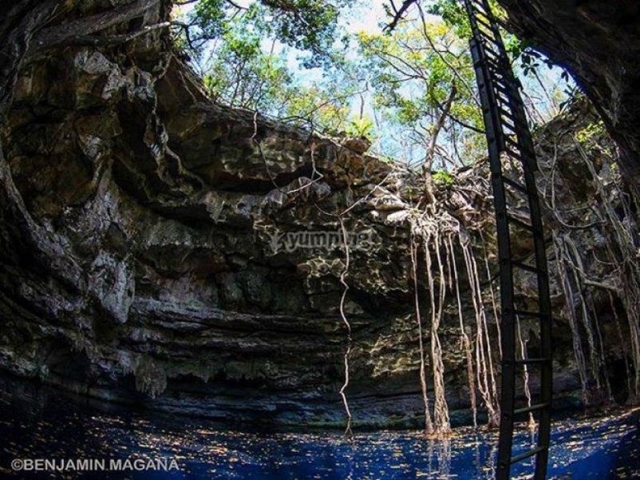 7 cenotes